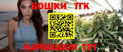 мдпв Татарск