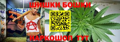 мдпв Татарск